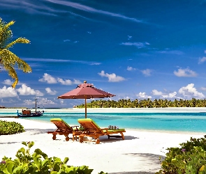 Malediwy, Laguna, Wakacje, Palmy, Leżaki, Plaża