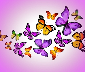 Grafika, 2D, Motylki