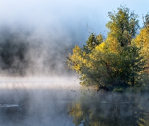 Las, Mgła, Jezioro