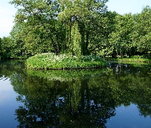 Zieleń, Drzewa, Woda, Odbicie, Wysepka, Park, Jeziorko