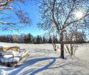 Zima, Park, Słońca, Drzewa, Promienie, Ławka