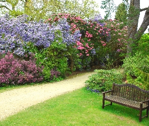 Park, Ławeczka