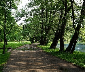 Ścieżka, Gdańsk, Polska, Jeziorko, Drzewa, Droga, Trawnik, Park Jelitkowski