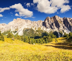 Łąka, Las, Góry, Chmury