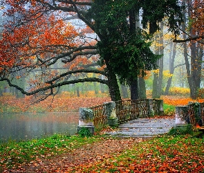 Jesień, Park, Mostek, rzeka