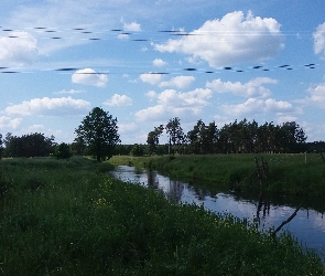 Rzeka, Łąka, Niebo, Chmury, Drzewa