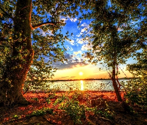 Wschód słońca, Drzewa, Jezioro