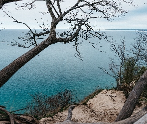 Drzewa, Morze