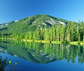 Jezioro, Las, Góry