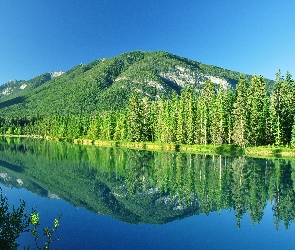 Góry, Las, Jezioro