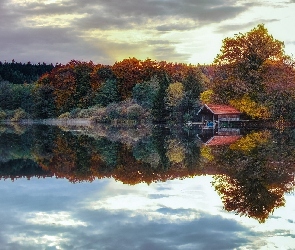 Jezioro, Odbicie, Drzewa, Las, Jesień