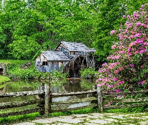 Mill, Młyn, Zabytkowy, Rzeka, Stany, Wirginia, Zjednoczone, Mabry