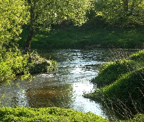 Drzewa, Trawa, Rzeka