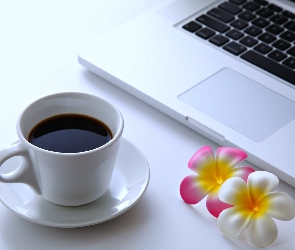 Kawa, Laptop, Kwiat