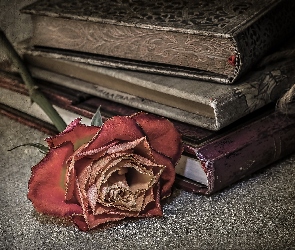 Stare, Róża, Książki