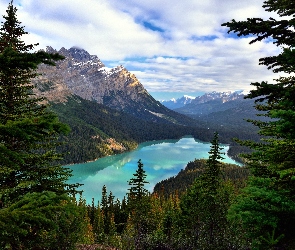 Prowincja Alberta, Kanada, Świerki, Jezioro Moraine, Drzewa, Góry, Park Narodowy Banff
