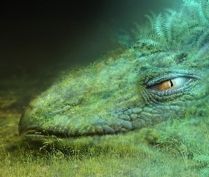 Kamuflaż, Dinozaur
