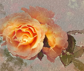 Róża, Paintography, Żółta