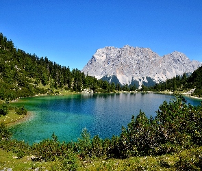 Roślinność, Drzewa, Góry, Jezioro