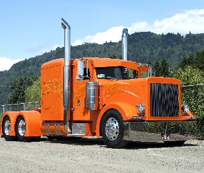 Peterbilt 379, Ciężarówka