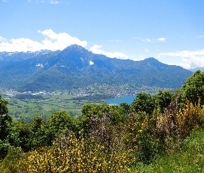 Jezioro, Drzewa, Góry