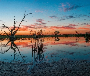 Słońca, Zachód, Bagno, Niebo