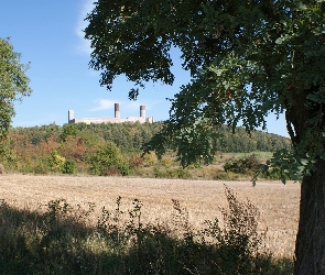 Zamku, Chęciny, Pola, Las, Ruiny