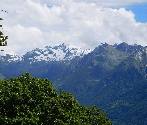 Śnieg, Drzewa, Góry