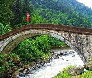Most, Rzeczka, Las