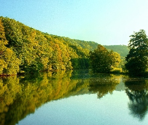 Las, Odbicie, Jezioro