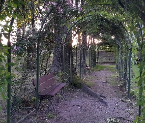 Spacerowy, Ławeczka, Tunel