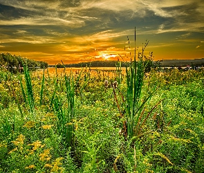 Jezioro, Słońca, Chmury, Zachód, Łąka