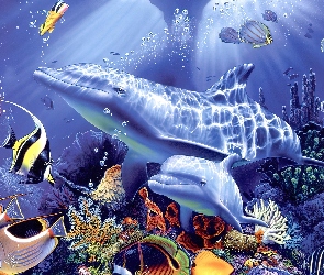 Delfiny, Ryby