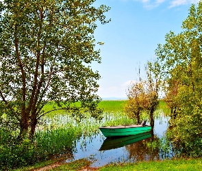 Lato, Drzewa, Łódka, Rzeka