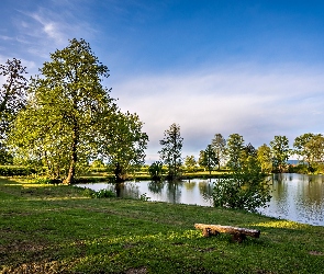 Staw, Zagrzeb, Światło, Przebijające, Park