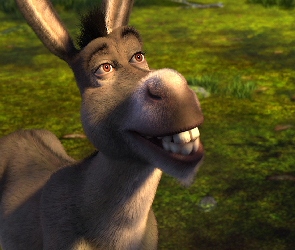 Shrek, Bajka, Osioł
