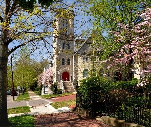 Kościół, Wiosna, Drzewa, Ulica