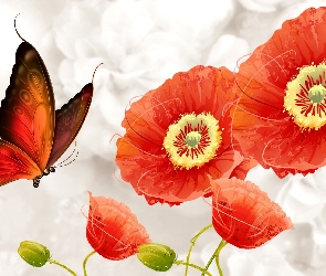 Motyl, Maki, Grafika, Kwiaty