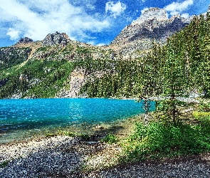 Kanada, Drzewa, Jezioro OHara, Góry, Park Narodowy Yoho