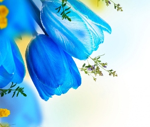 Tulipany, Artystyczny, Kwiat