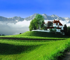 Domek, Drzewko, Góry