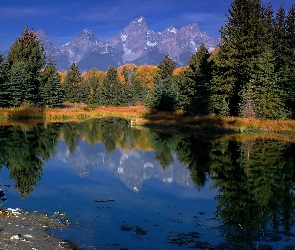 Jezioro, Las, Góry