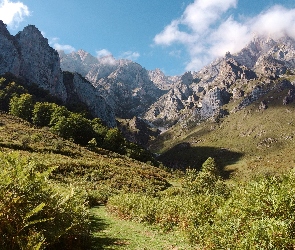 Chmury, Łąki, Góry