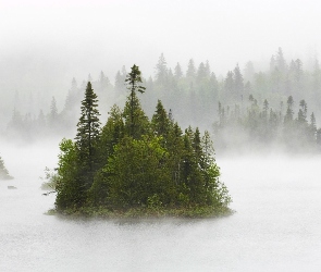 Las, Jezioro, Mgła, Drzewa