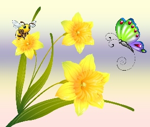 Kwiaty, Motyle, Żonkile