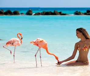 Kobieta, Flamingi