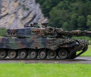 Las, Leopard 2, Droga, Czołg, Skała
