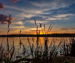 Trawy, Słońca, Jezioro, Zachód