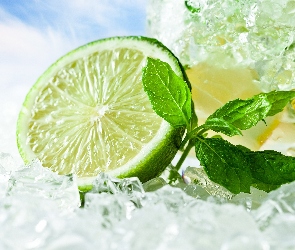 Lód, Listki, Pół, Limonki