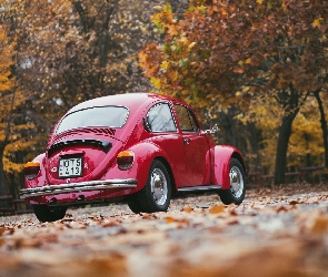 Jesień, Garbus, Samochód, Volkswagen, Drzewa